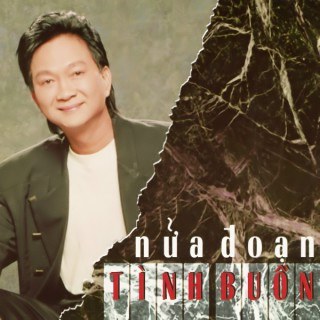 Nửa đoạn tình buồn
