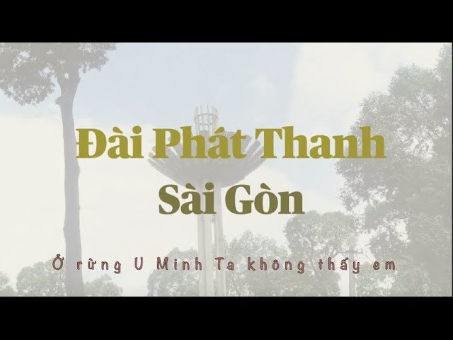 Ở rừng U Minh ta không thấy em