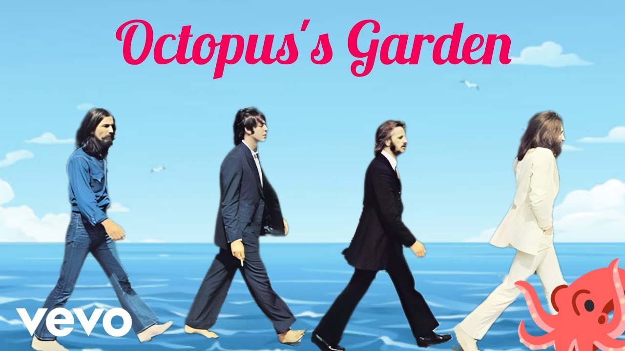 Octopus's Garden