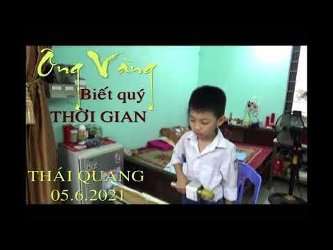Ong vàng biết quý thời gian