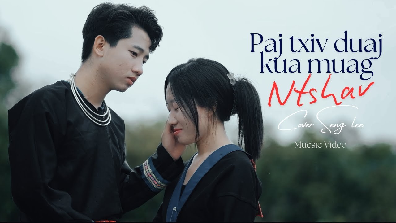Paj Txiv Duaj Poob Kua Muag Ntshav