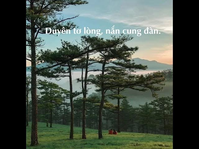 PHIÊU LÃNG