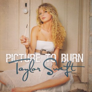 Picture To Burn