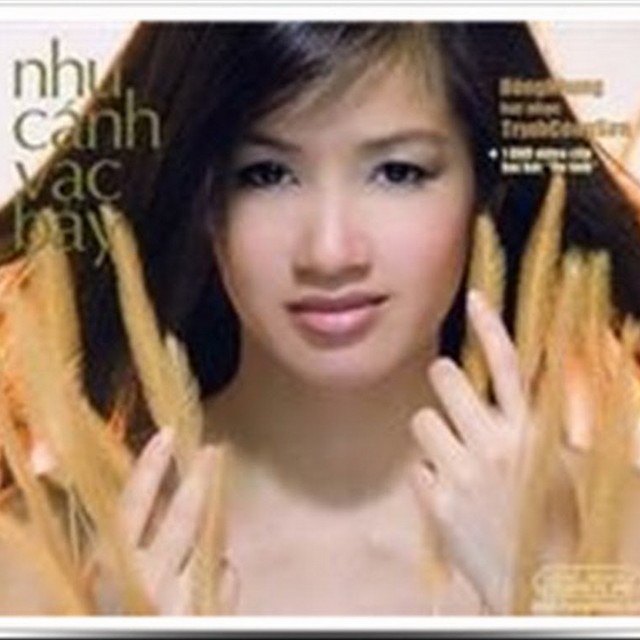 Rồi Như Đá Ngây Ngô