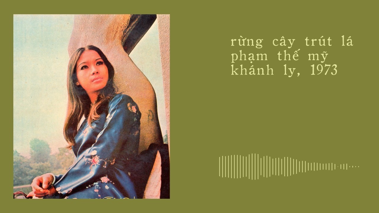 Rừng cây trút lá