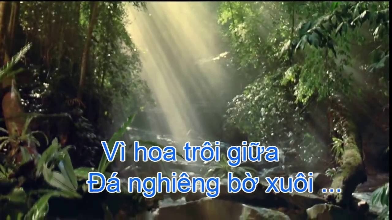 Rừng ơi 2