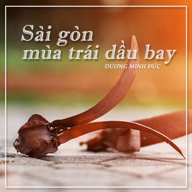 Sài Gòn mùa trái dầu bay
