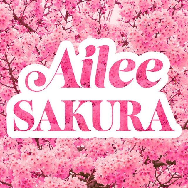 Sakura (English Version)
