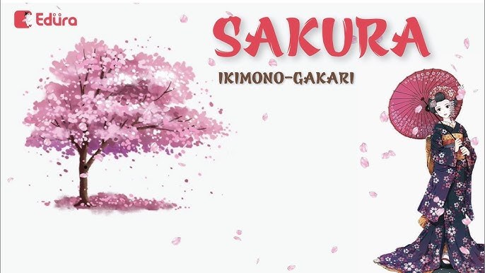 Sakura 