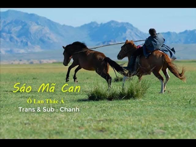 Sáo Mã Căn