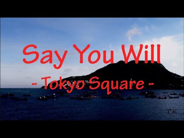 Say You Will