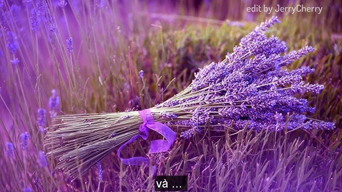 Snow Flower - Viruss Ft NST