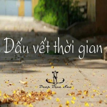 Sói đồng cỏ