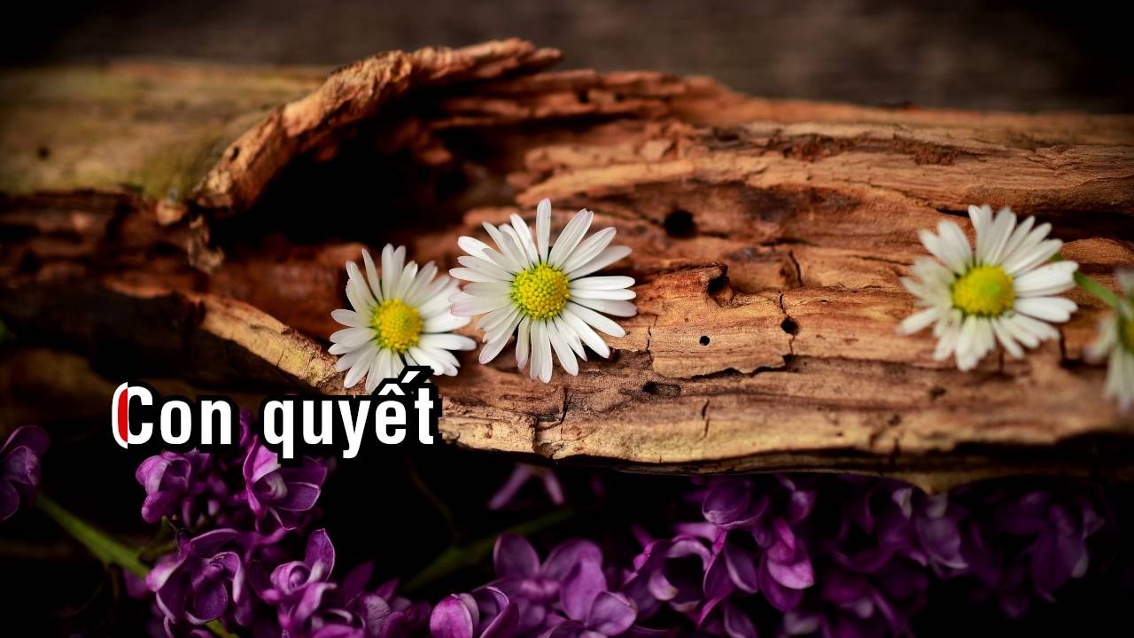 Sống Phút Hiện Tại