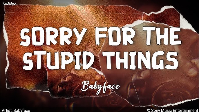 Sorry For The Stupid Things
