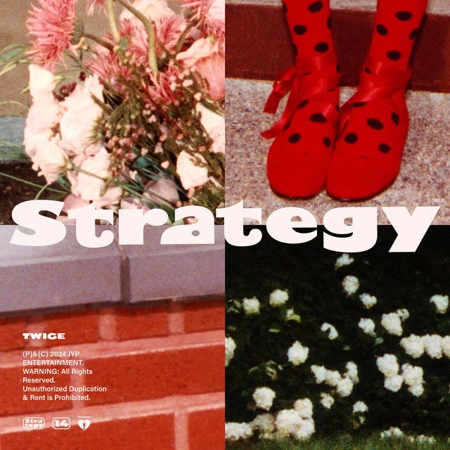 Strategy (Version 1.0)