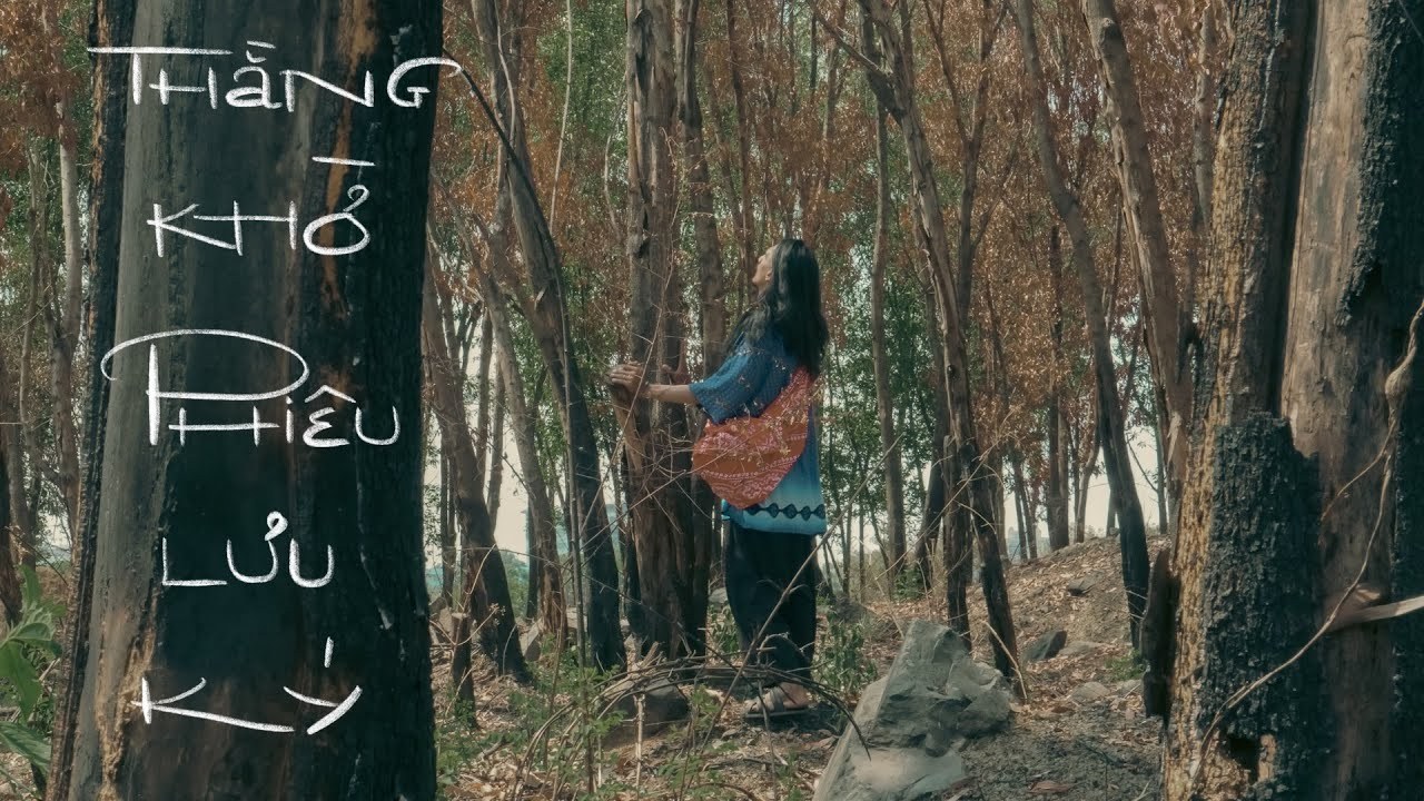 Thằng Khờ Phiêu Lưu Ký