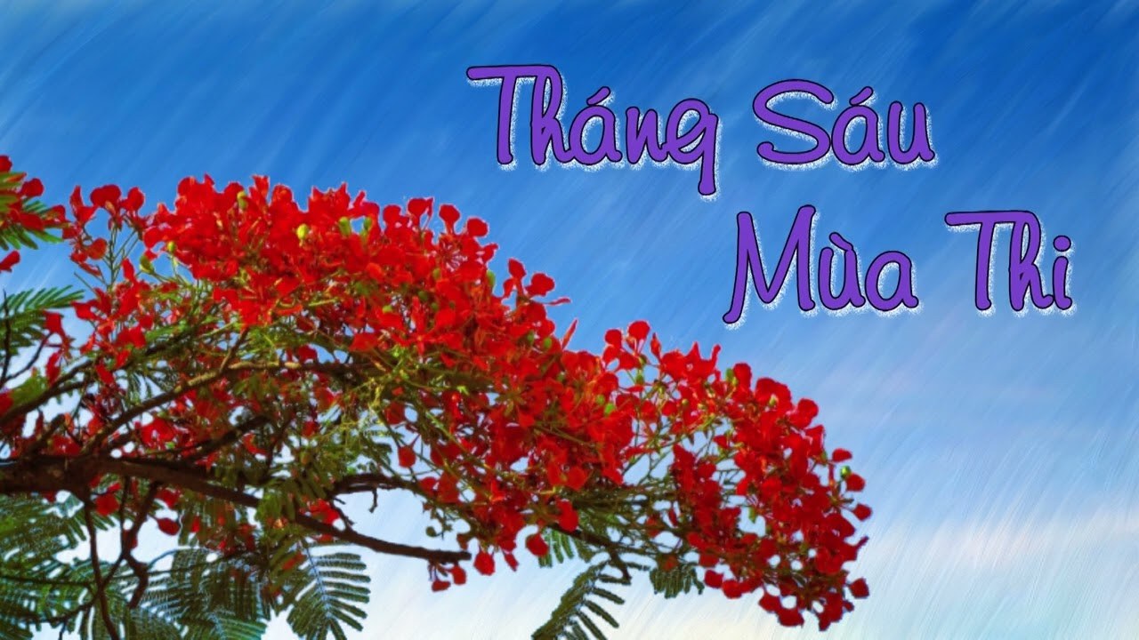 Tháng Sáu Mùa Thi