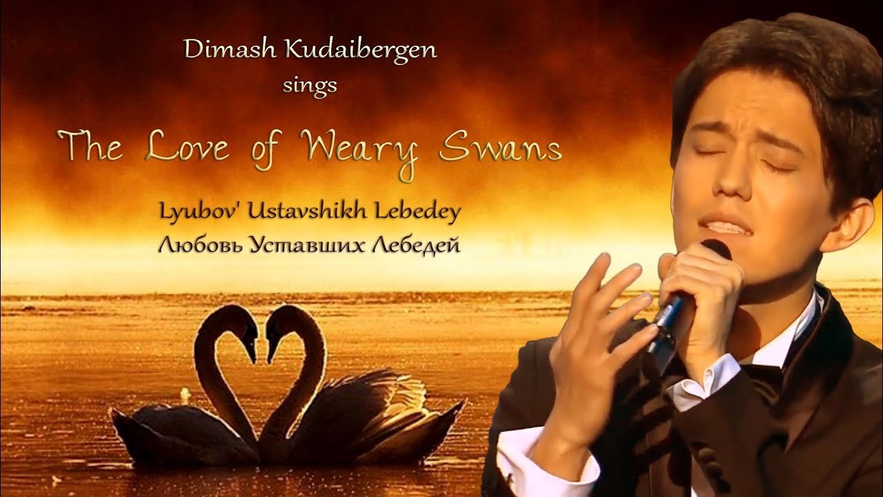 the love of tired swans (english version)