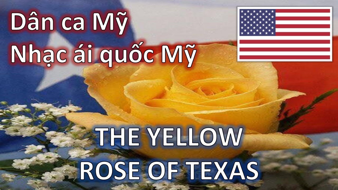 The Yellow Rose Of Texas (Hoa Hồng Vàng)