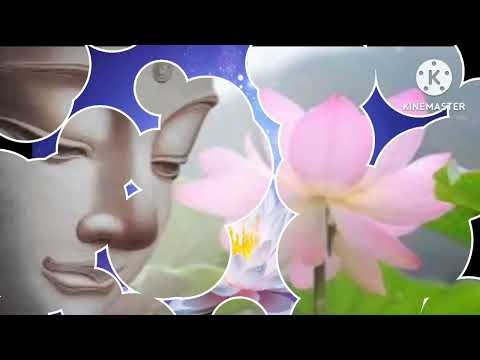 THÊM MỘT LẦN HOA NỞ