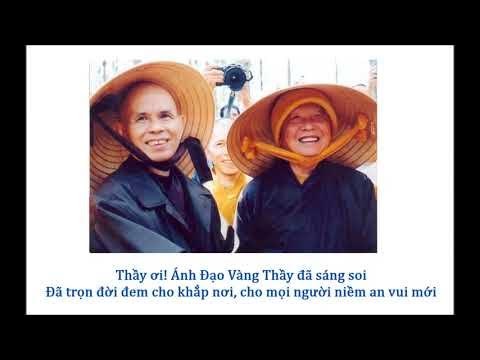 Theo dấu chân thầy
