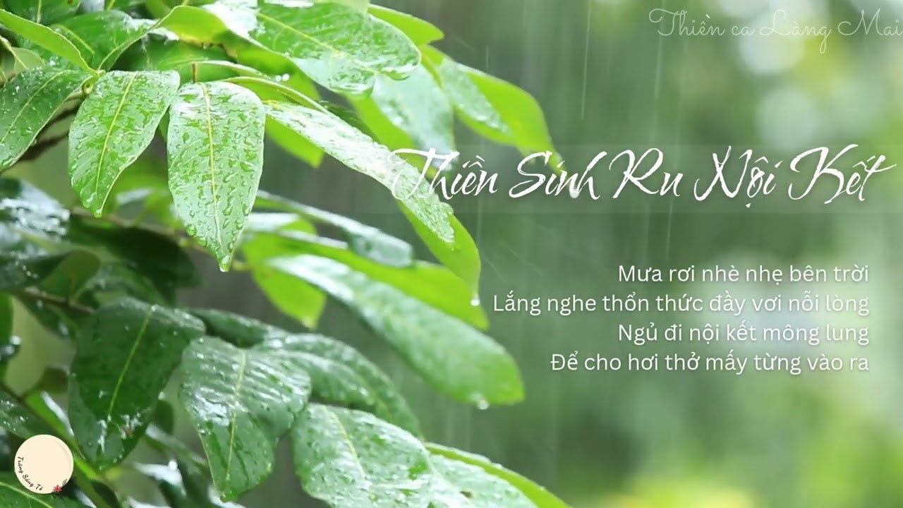 Thiền Sinh Ru Nội Kết