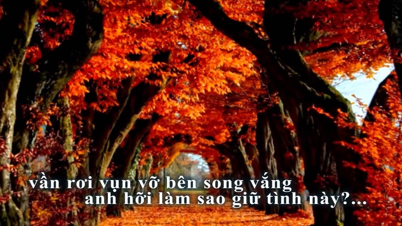 Thôi tiếc làm chi nữa