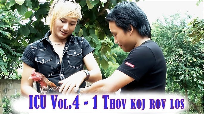 Thov Koj Rov Los