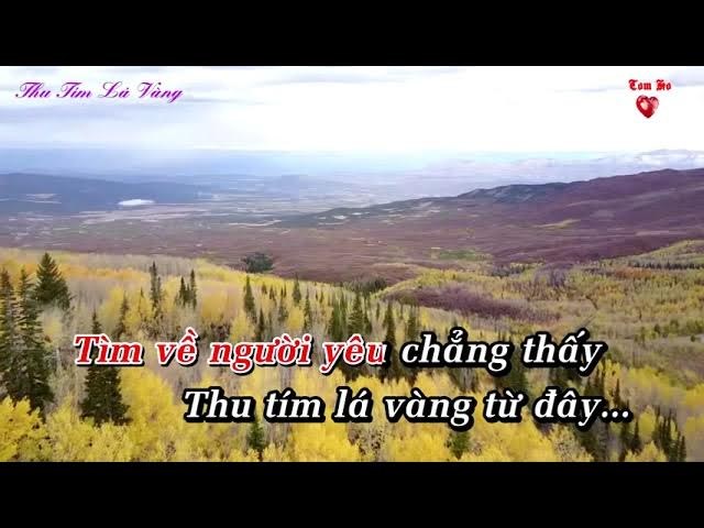Thu Tím Lá Vàng