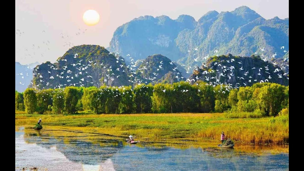Thung Nham, Nơi Đất Lành Chim Về