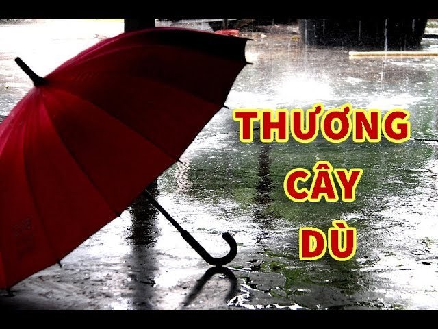 Thương Cây Dù