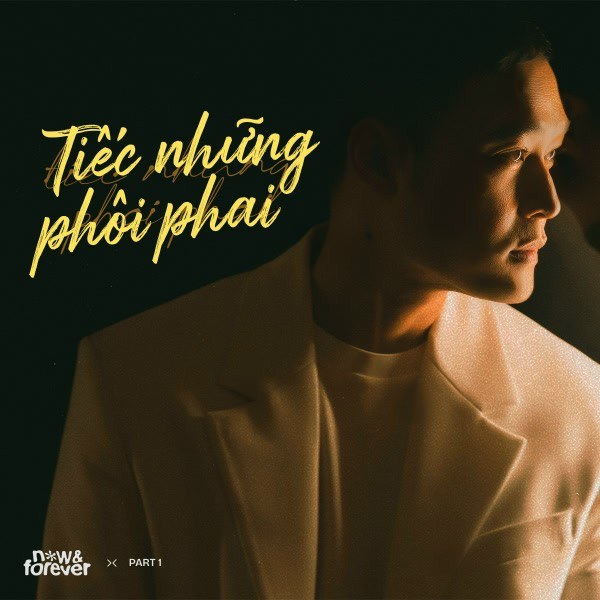 Tiếc Những Phôi Phai