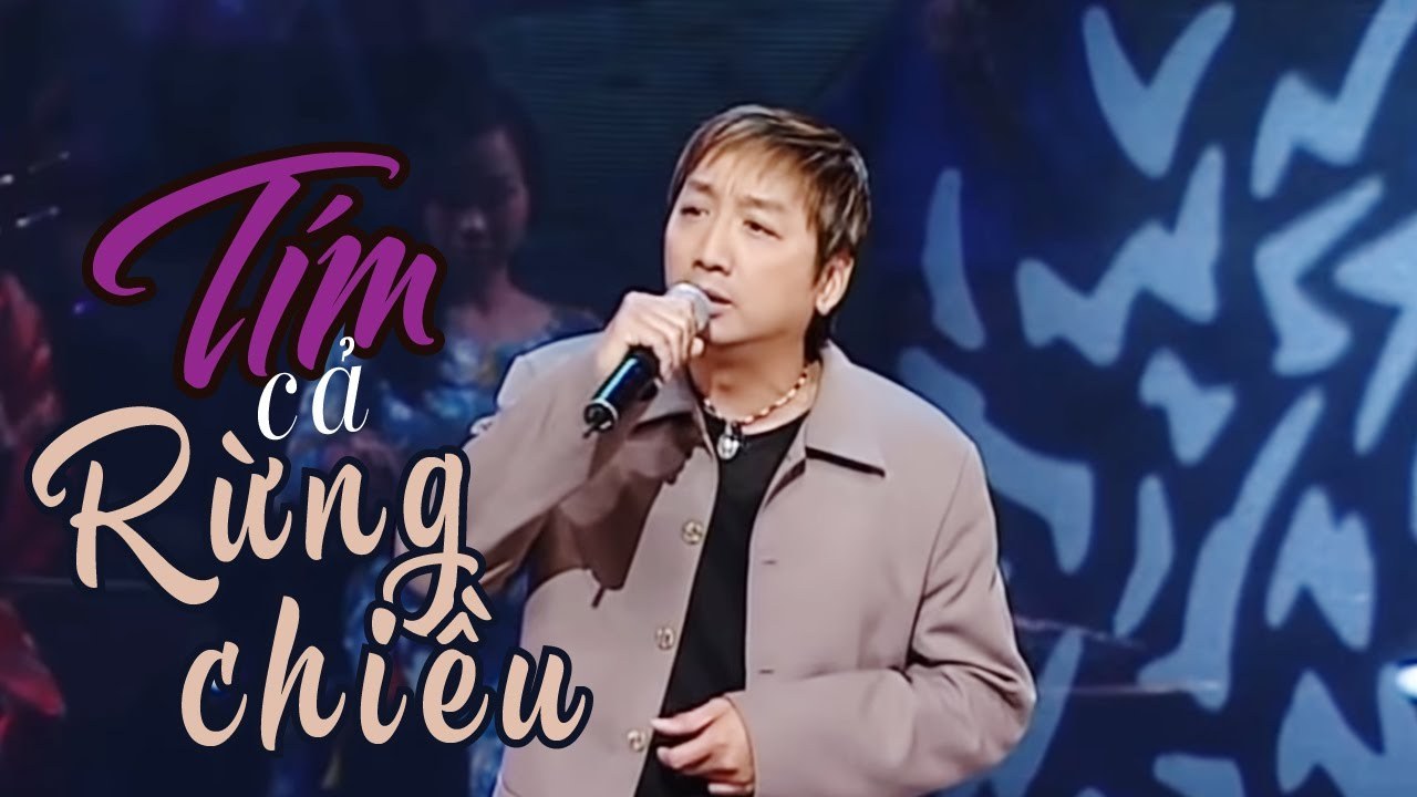 Tím Cả Rừng Chiều