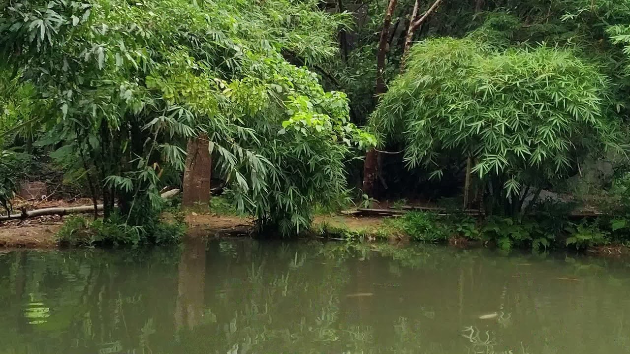 Tìm Đâu Tuổi Hoa Niên
