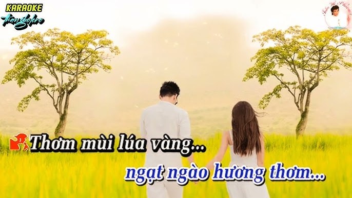 Tình Ca Trên Lúa (Trên Đồng Lúa Vàng)