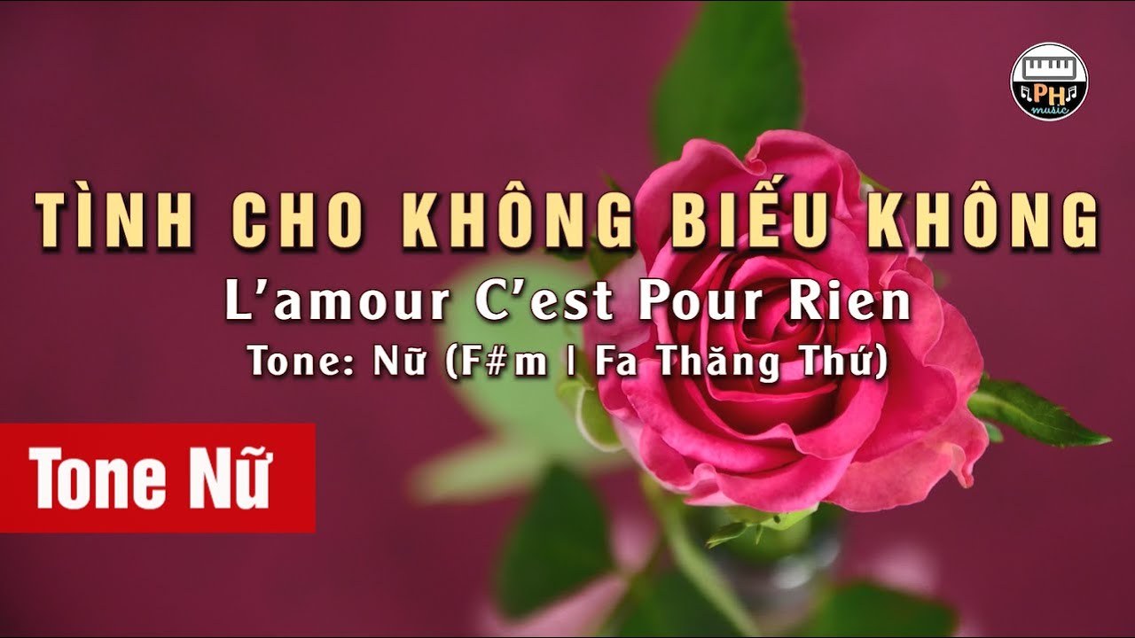 Tình Cho Không Biếu Không (L'amour C'est Pour Rien)