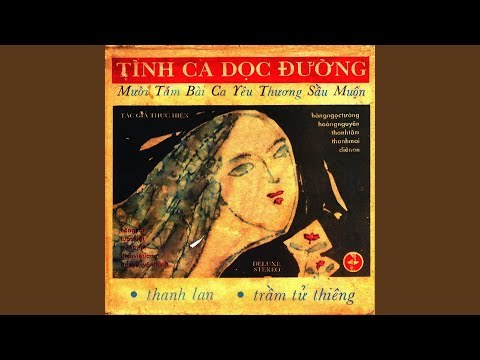 Tình ơi xin chào em từ tốn