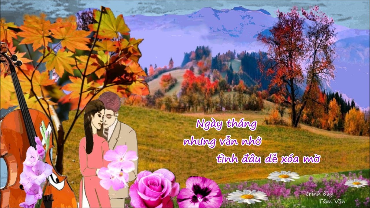Tình ta như giấc mơ