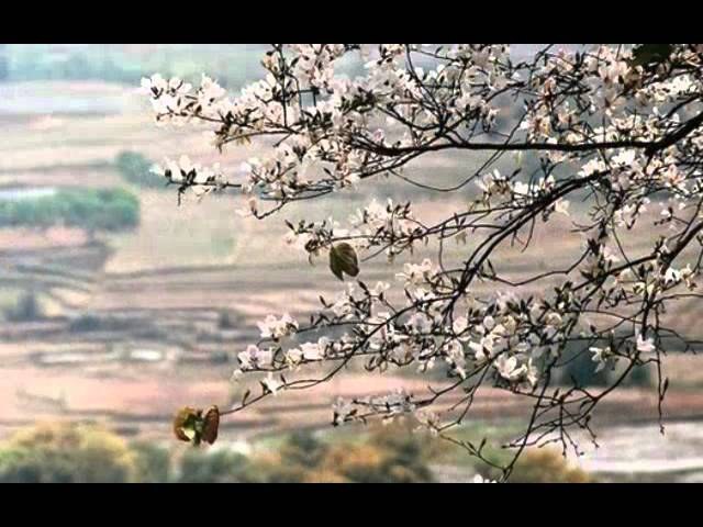 TÌNH TAN THEO BỐN MÙA 
