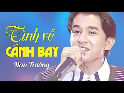 Tình Vỗ Cánh Bay