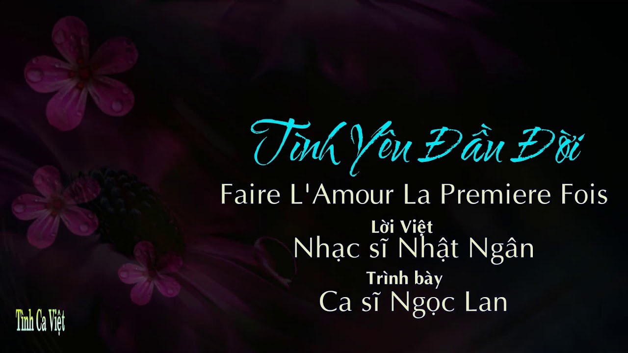 Tình yêu đầu đời ( Faire l'Amour la premiere fois )