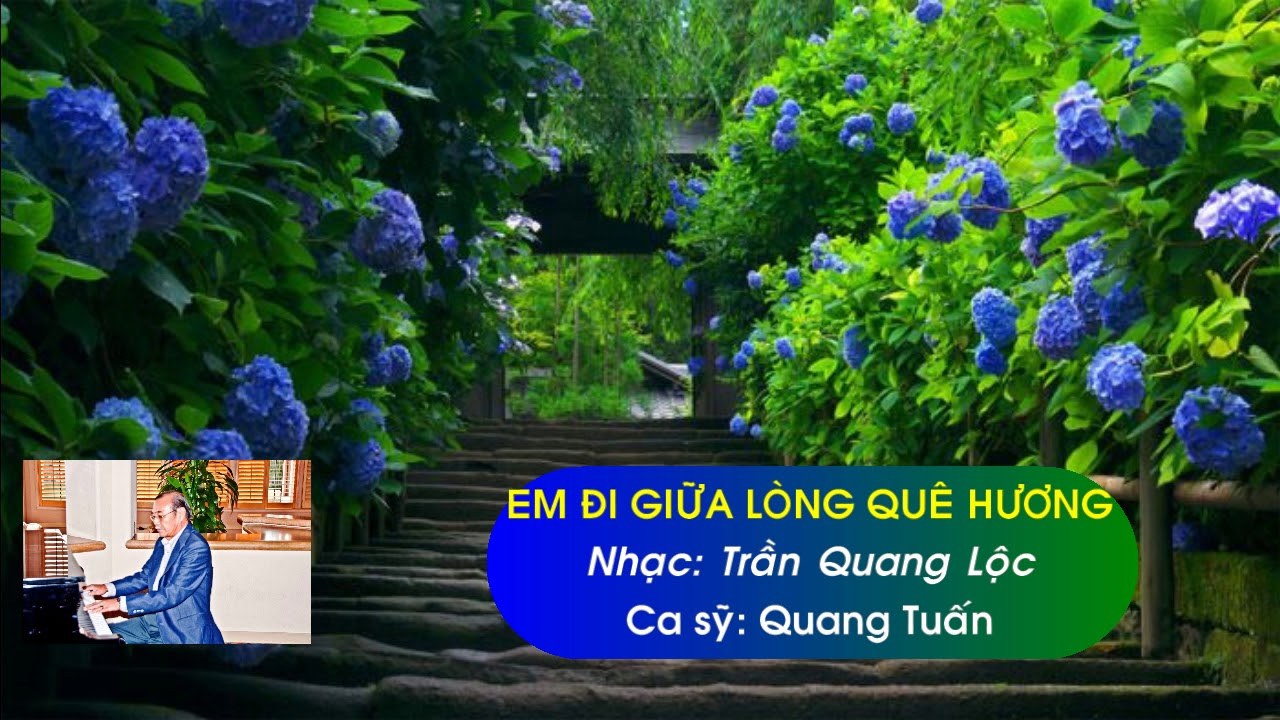 Tôi đi giữa lòng quê hương