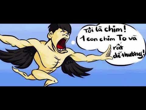 Tôi Là Chim