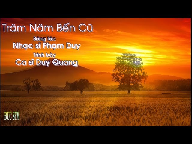 Trăm năm như một chiều