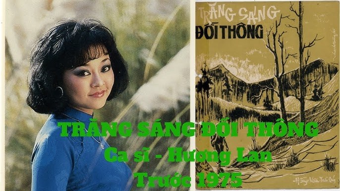 Trăng sáng đồi thông