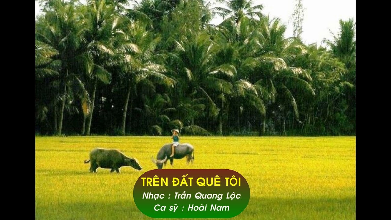 TRÊN ĐẤT QUÊ TÔI