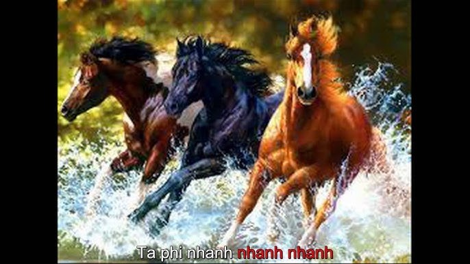 Trên Ngựa Ta Phi Nhanh