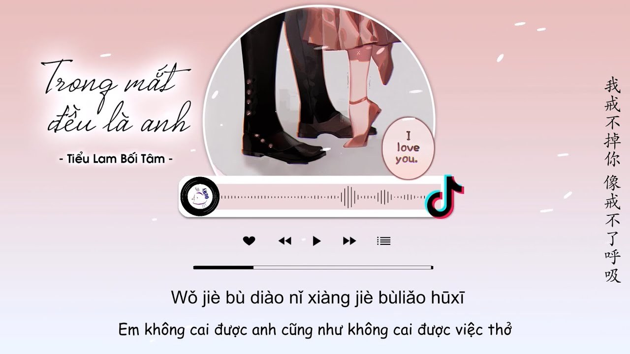 Trong Mắt Đều Là Anh (目及皆是你 - 小蓝背心)