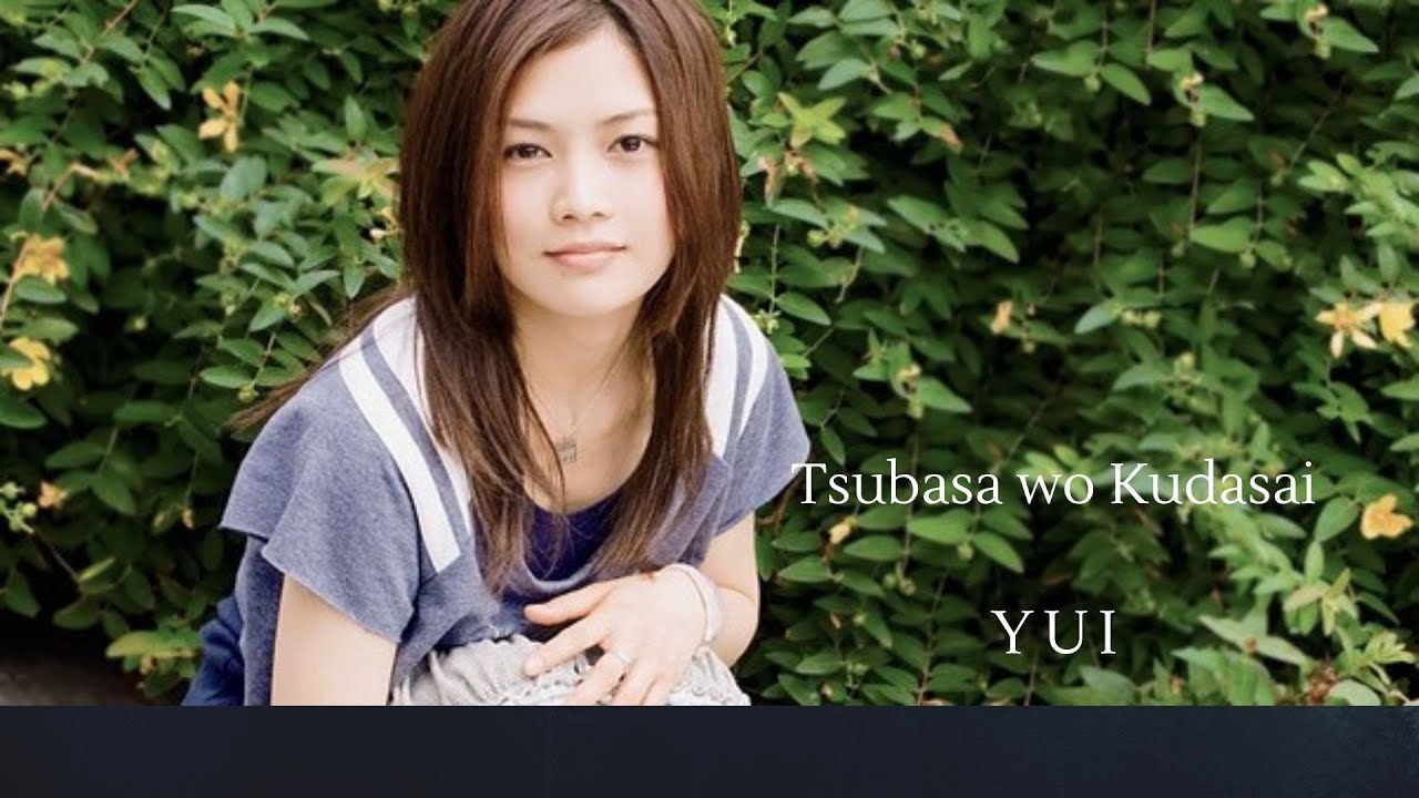 Tsubasa Wo Kudasai
